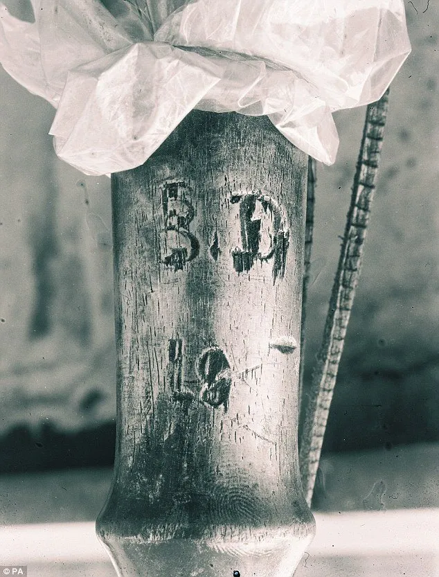 36deb8ab00000578-0-image-m-68_1470342789142