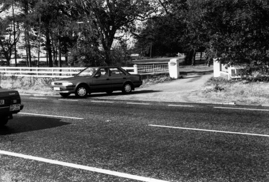 imgID34319616